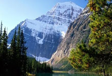 Tether Shuts Down Uruguay Mining: What Went Wrong and What's Next